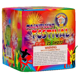 Magnificent Festival - 25 shots