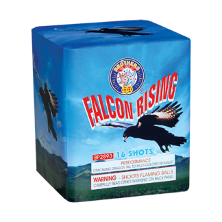 Falcon Rising - 16 shots