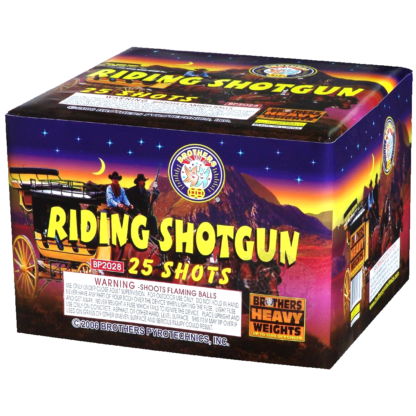 Riding Shotgun - 25 shots